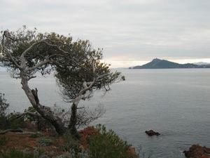 Anth&eacute;or,&icirc;le des vieilles,Chr&eacute;tienne,dramont,Cap Roux