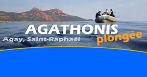Clubs de plongée Agay,Agathonis plongée