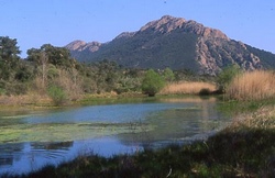 Agay,Agay locations,visite d'Agay,informations sur Agay,informations sur les personnalités connues d'Agay