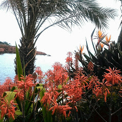 Villa pied dans l'eau  louer Saint-Raphael Var.