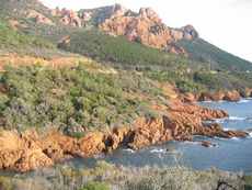 Les plages de l'Esterel,le Saint barthelemy,Le Cap Roux,plages Esterel