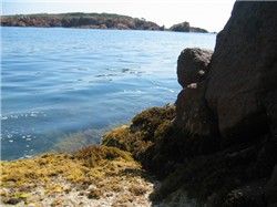 Haus meeresstrand var Antheor France?Ferienhaus villa
saint-raphael Frankreich.