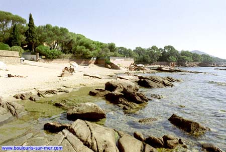 Plages de arène grosse,tortue,pescade,val-fleuri,location saint raphael