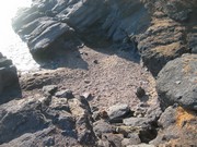 la plage d'Aiguebonne de Boulouris, location saint Raphael Var