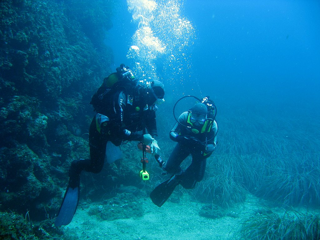 Clubs de plongée Saint Raphael Var