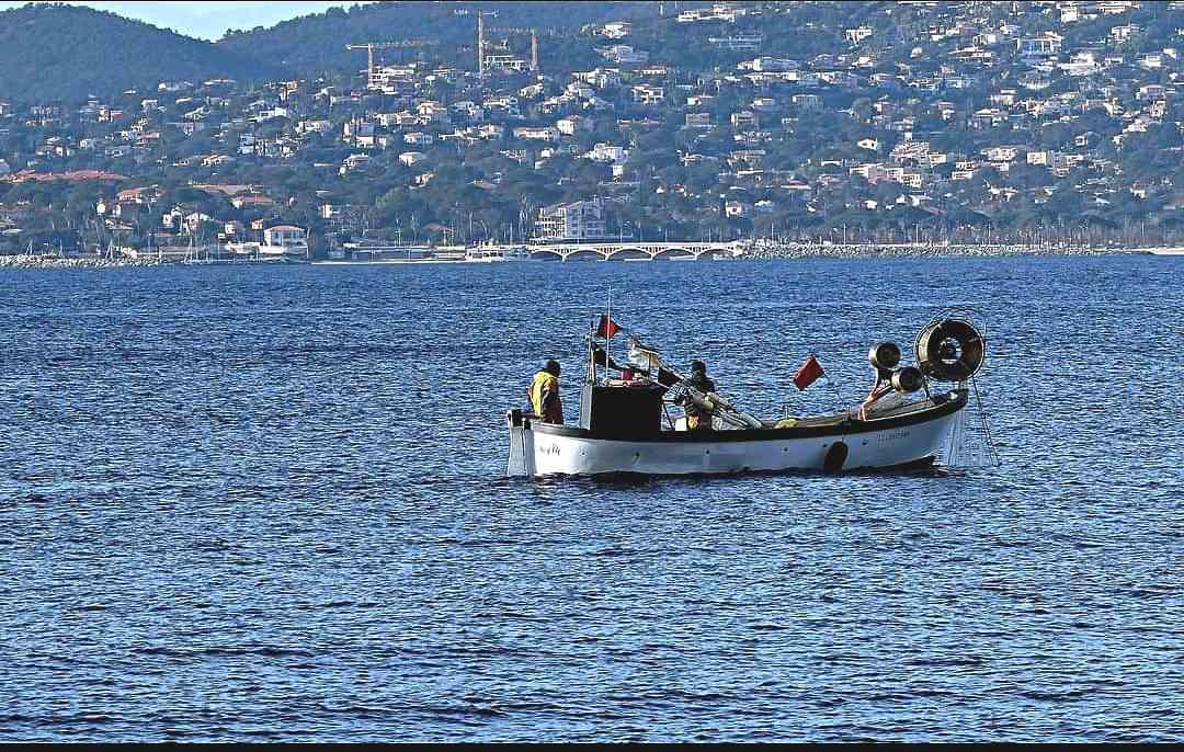 Vente directe de poisons sauvages Agay Saint Raphael.Vente de poissons sauvages frais directement aux particuliers.Pêche artisanale et vente de poisson frais à Agay Saint Raphael Var.Poissonnerie d'Agay Saint Raphael. 